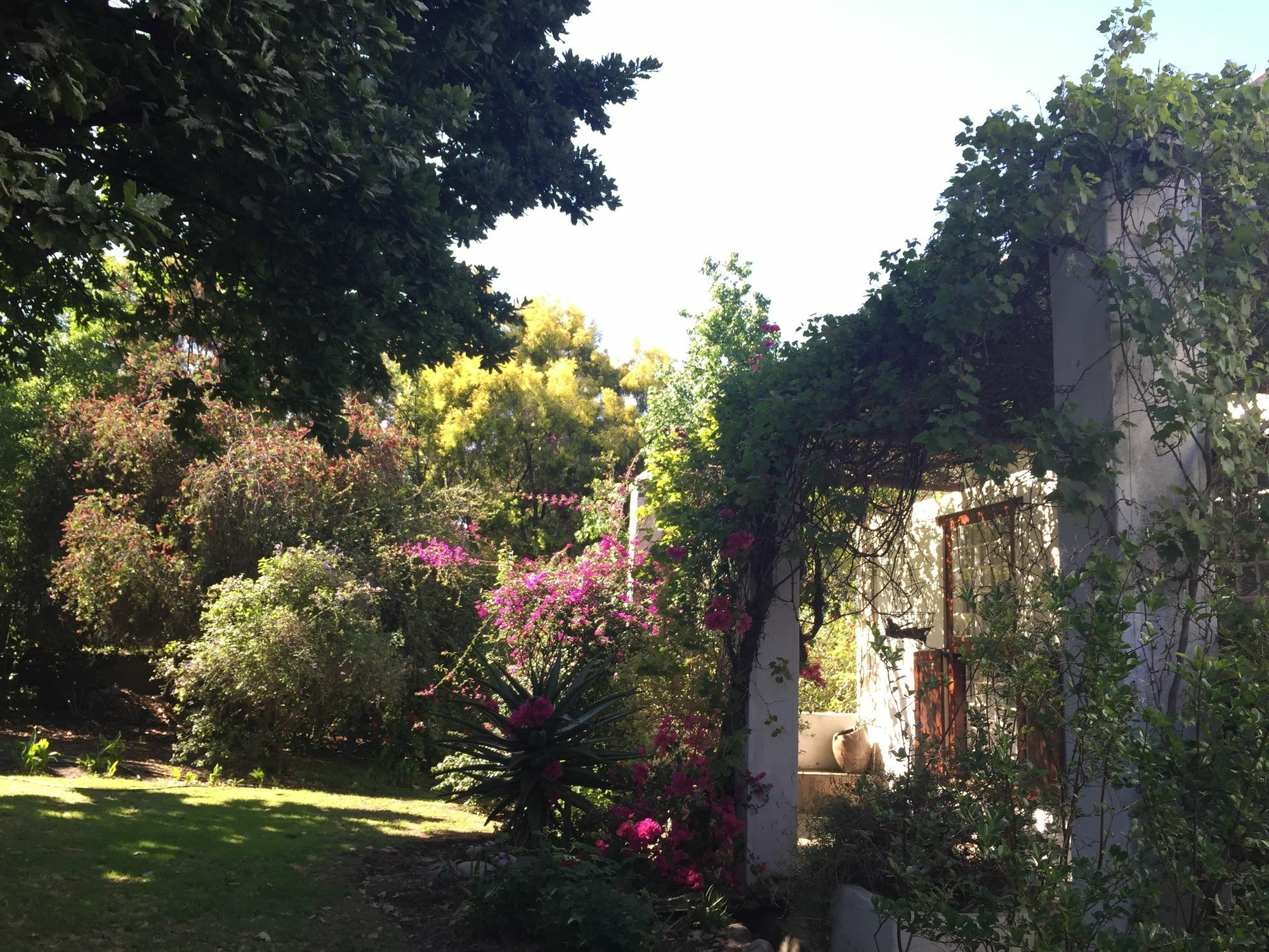 Wittedrift Manor House Hotel Tulbagh Eksteriør billede