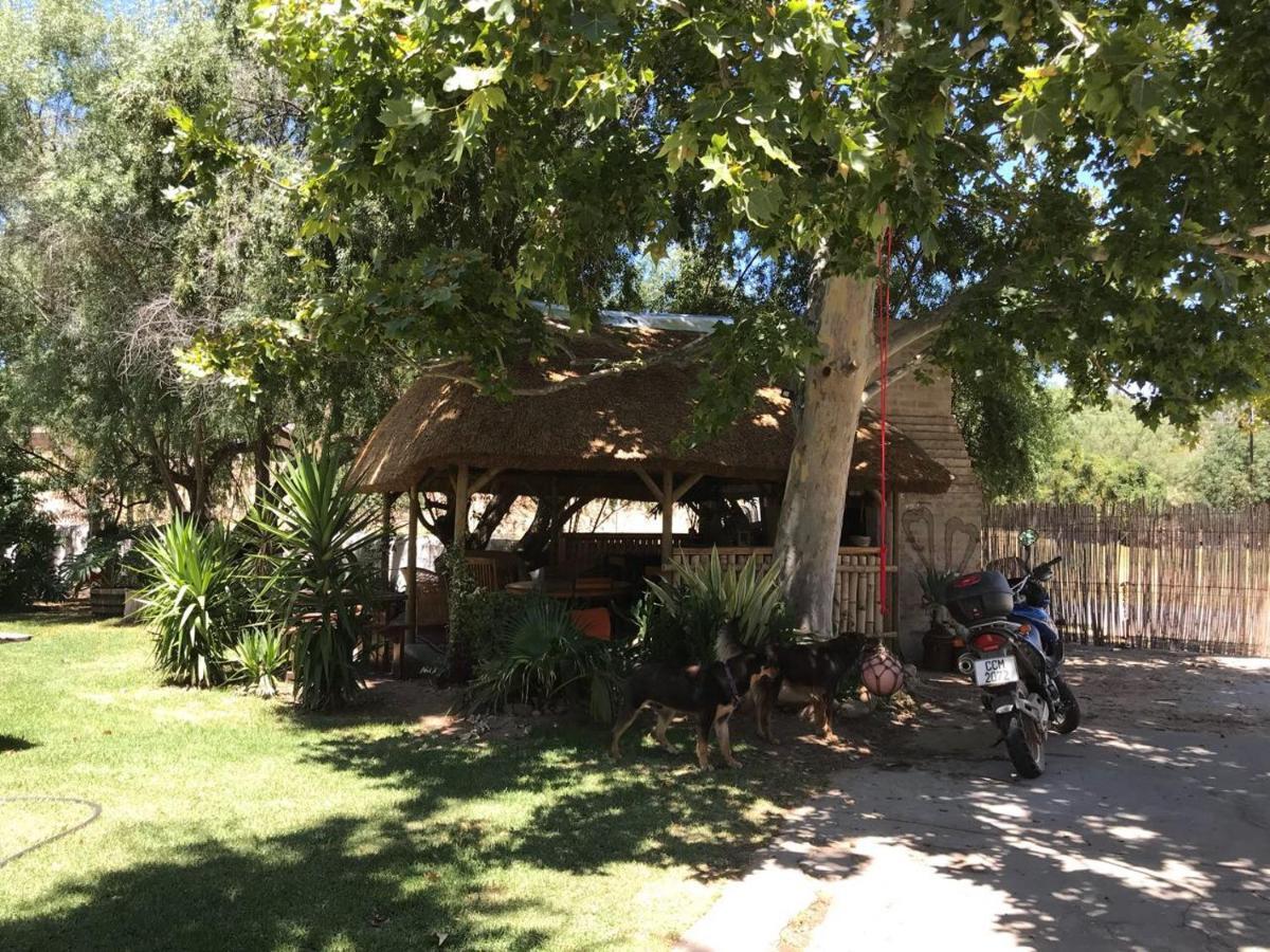 Wittedrift Manor House Hotel Tulbagh Værelse billede